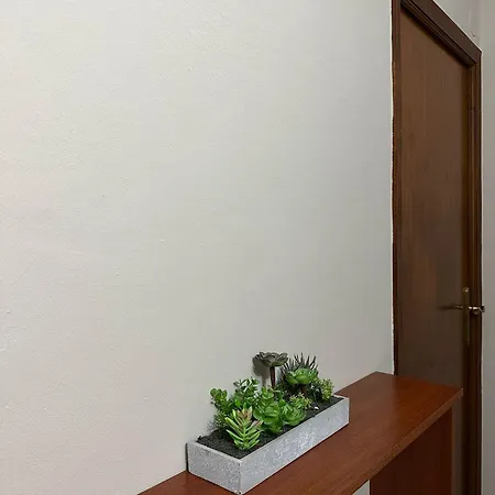 Appartement In The Heart Of The Camino De Santiago